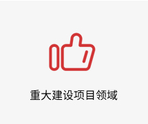  重大建设项目领域