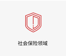 社会保险领域