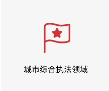 城市综合执法领域