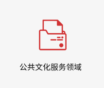 公共文化服务领域