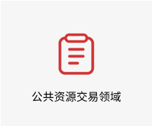 公共资源交易领域