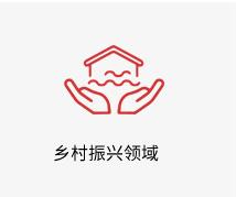 乡村振兴领域