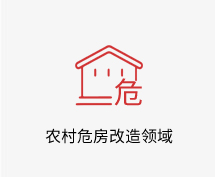 农村危房改造领域