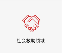 社会救助领域