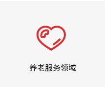 养老服务领域