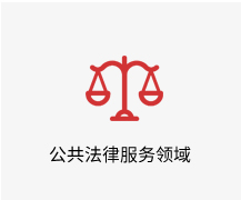 公共法律服务领域