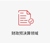 财政预决算领域