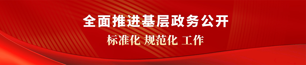 全面推进基层政务公开标准化规范化工作