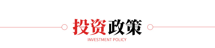 投资政策