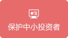 保护中小投资者