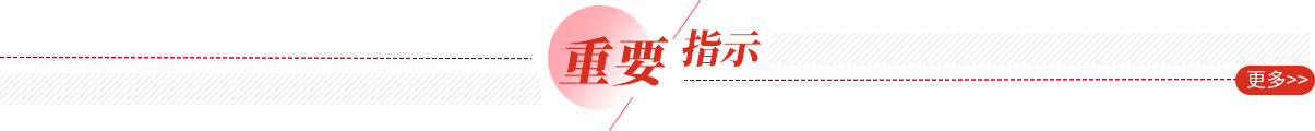 重要指示