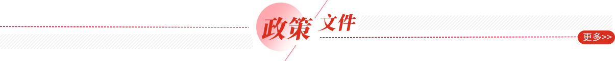 政策文件